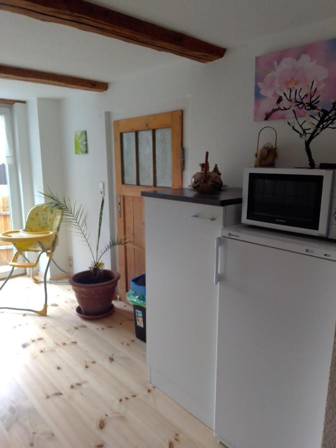 Ferienhaus Schock 탈레 외부 사진